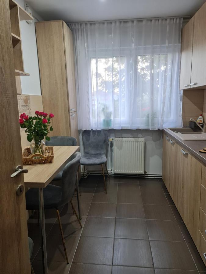 Apartament Modern Cristina&Jessica Mediaş Esterno foto