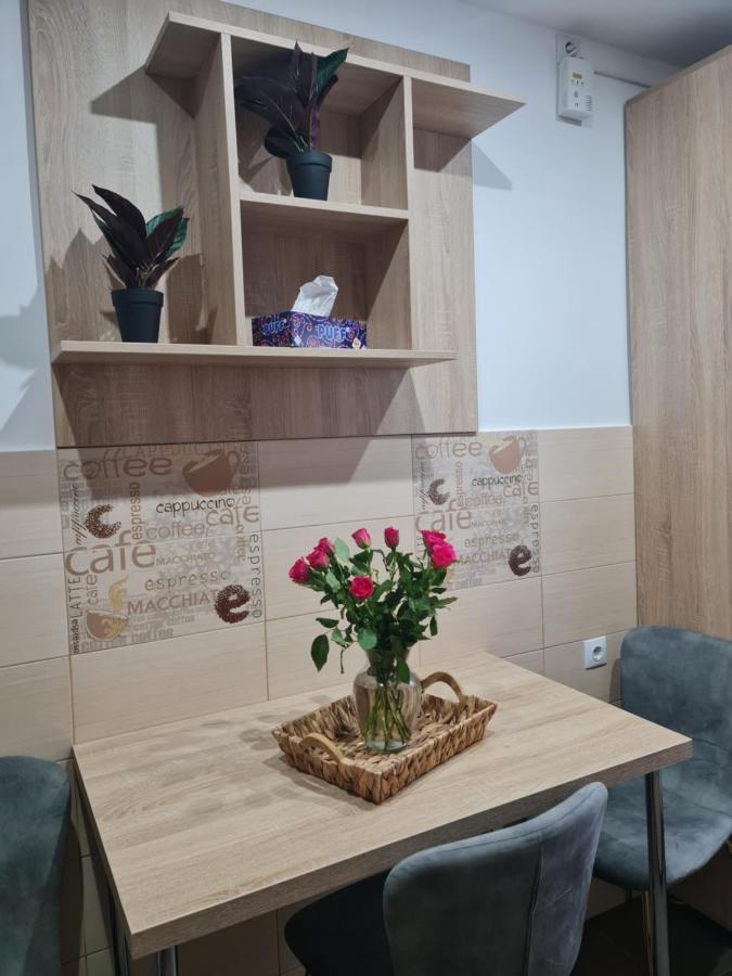Apartament Modern Cristina&Jessica Mediaş Esterno foto