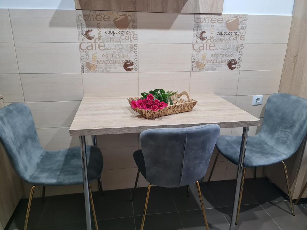 Apartament Modern Cristina&Jessica Mediaş Esterno foto