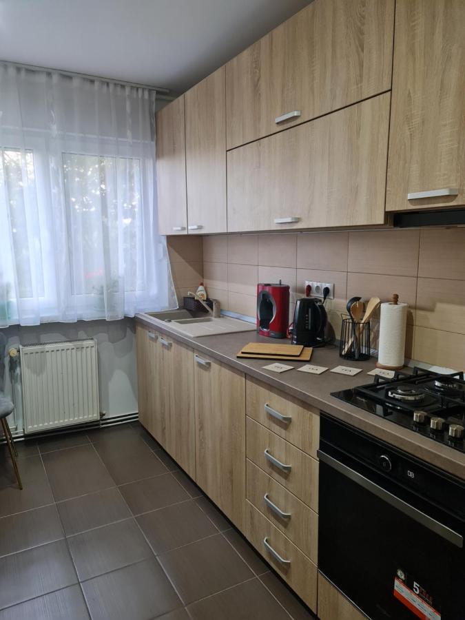 Apartament Modern Cristina&Jessica Mediaş Esterno foto